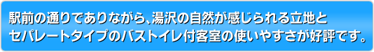 駅前の通りでありながら、湯沢の自然が感じられる立地とセパレートタイプのバストイレ付客室の使いやすさが好評です。